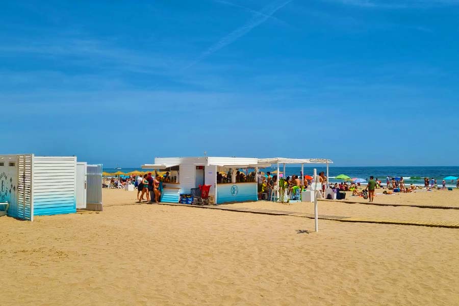 Local Beach Bar Shore Excursions Valencia