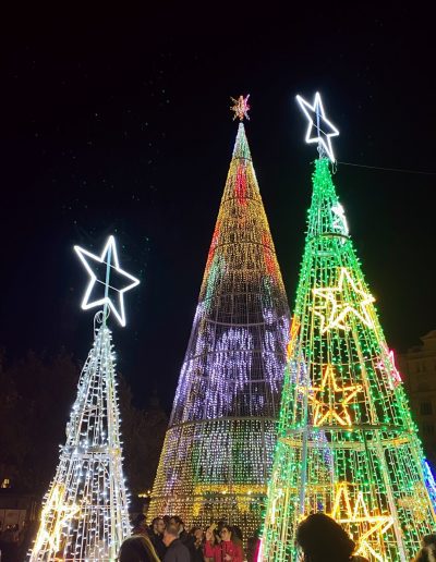 North African & French Cuisine and Culture of Marseille Christmas Special