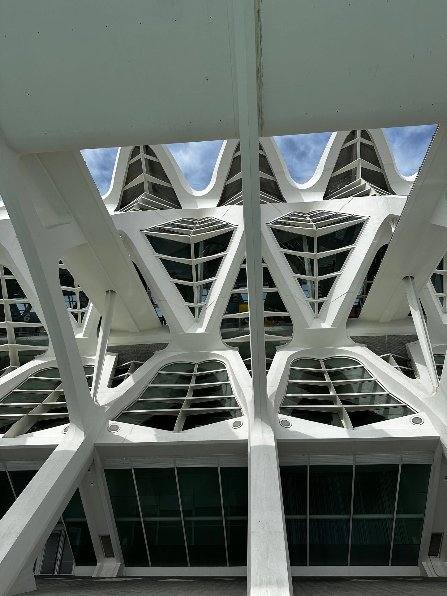 The Ultimate Valencia Experience! City of Arts and Sciences