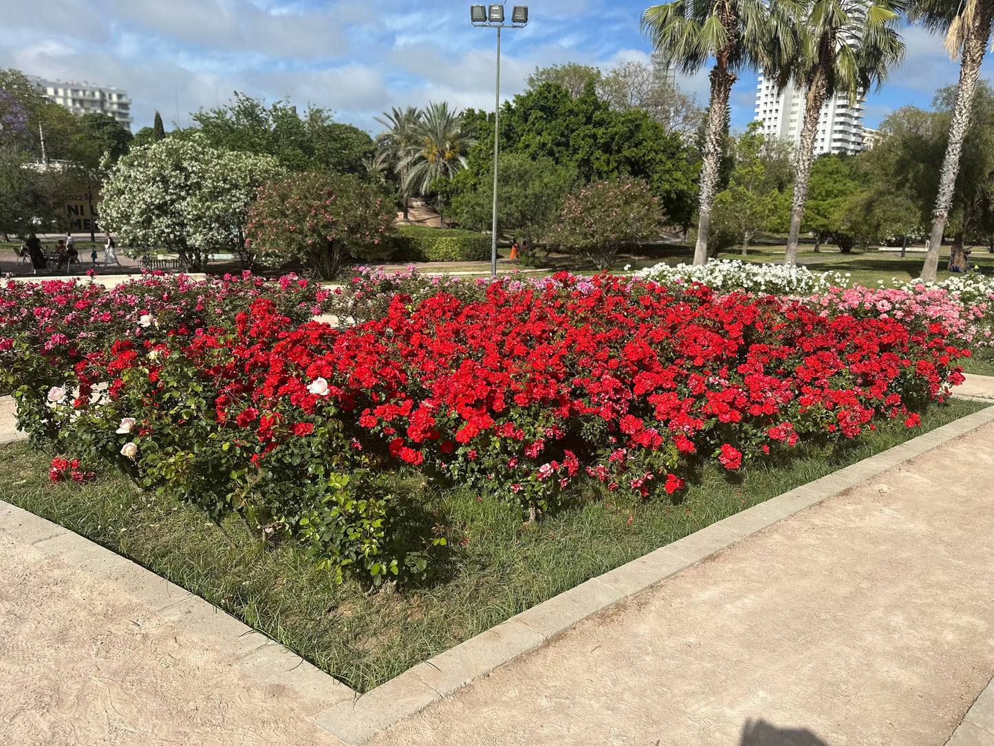 The Ultimate Valencia Experience! City of Arts and Sciences