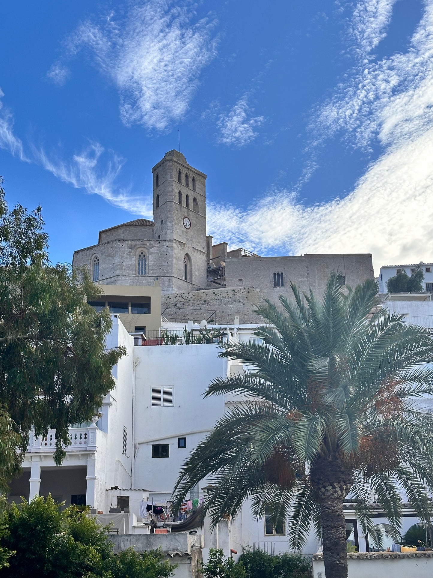 Ibiza Town Bodega Tapas, Wine, Local Food Market & Castle & Firecrackers.