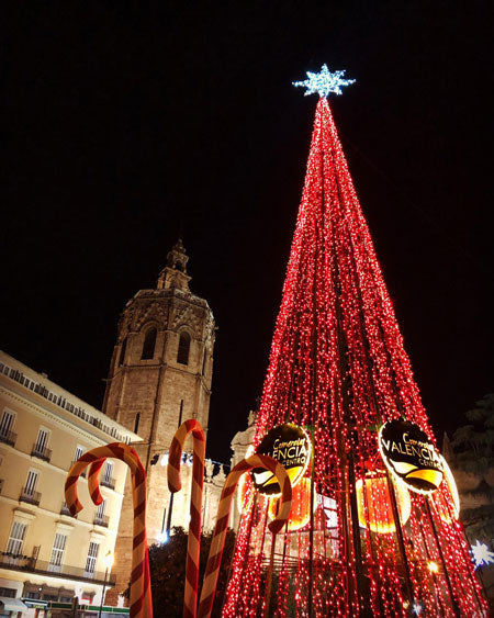 North African & French Cuisine and Culture of Marseille Christmas Special